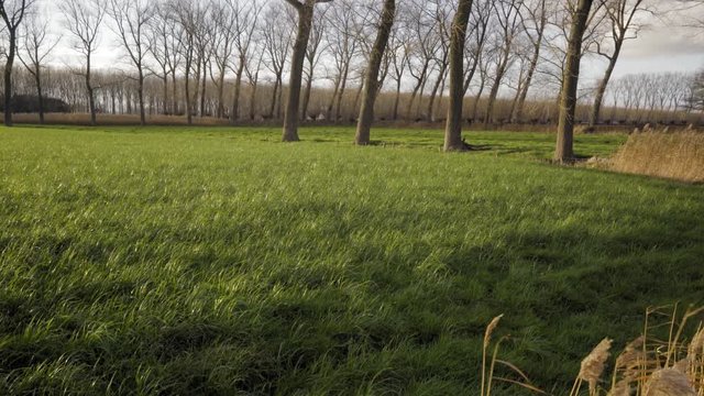 flanders in Belgium countryside fields 4k