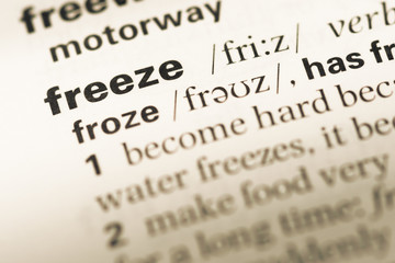 Fototapeta premium Close up of old English dictionary page with word freeze
