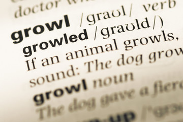 Fototapeta premium Close up of old English dictionary page with word growled