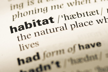 Close up of old English dictionary page with word habitat