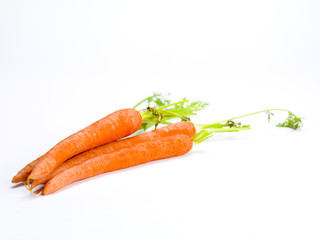 bunch of carrots on white