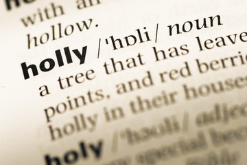 Close up of old English dictionary page with word holly