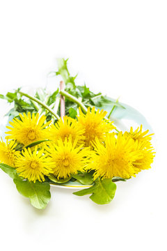 Yellow dandellion flowers on a plate, close up
