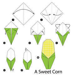 step by step instructions how to make origami a Sweet Corn.