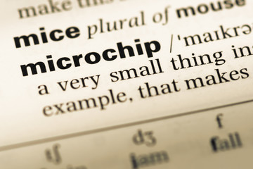 Close up of old English dictionary page with word microchip