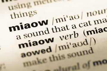 Obraz premium Close up of old English dictionary page with word miaow