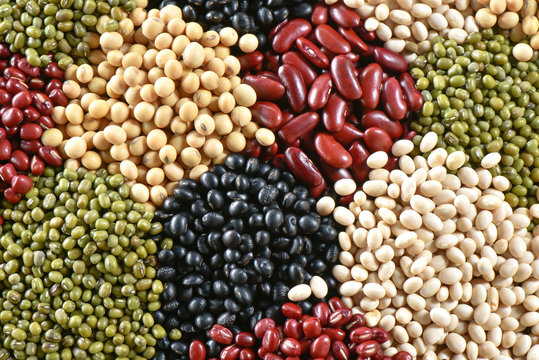 Colorful dried legumes beans for background