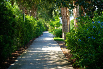 beautiful scenic bike path