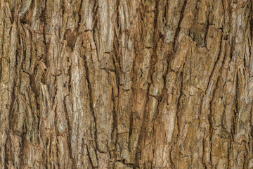 Obraz premium wall made of wooden planks