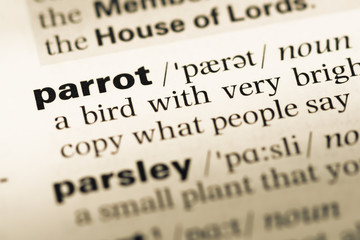 Close up of old English dictionary page with word parrot