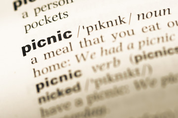 Close up of old English dictionary page with word picnic