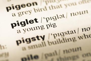Close up of old English dictionary page with word piglet