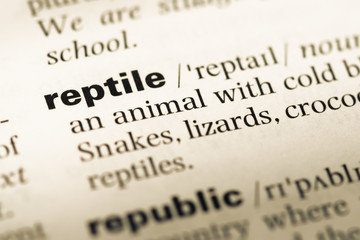 Close up of old English dictionary page with word reptile