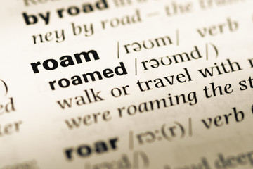 Close up of old English dictionary page with word roam