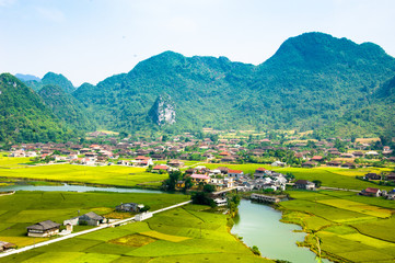 Rice fields on mountain in Vietnam.