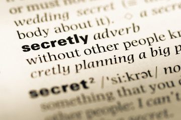 Fototapeta premium Close up of old English dictionary page with word secretly