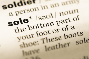 Obraz premium Close up of old English dictionary page with word sole