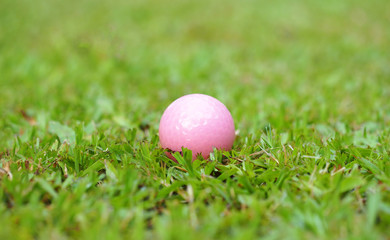 Golf crystal pink ball on green grass in golf course
