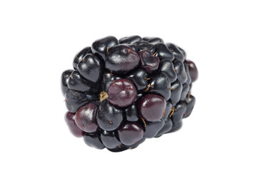 blackberry fruit on white background