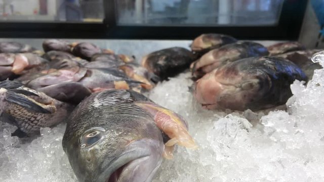 Fish laying on ice to stay cold and fresh at Market.
