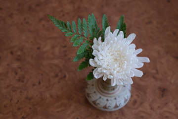 White flower with green leaf in bouquet put in ceramic vase on brown wooden table/White flower in vase on wooden table top view