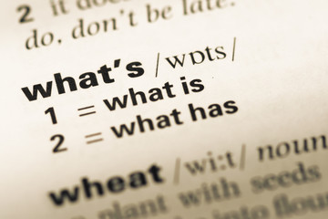 Close up of old English dictionary page with word what's