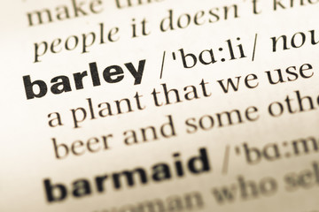 Obraz premium Close up of old English dictionary page with word barley