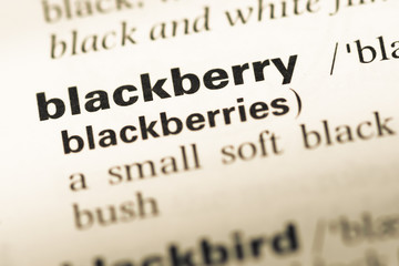 Obraz premium Close up of old English dictionary page with word blackberry