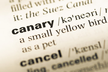 Close up of old English dictionary page with word canary