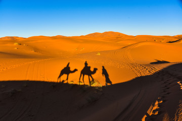 Fototapeta na wymiar Sands of the Sahara, Morocco 