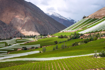 Elqui Valley, Andes part of Atacama Desert in the Coquimbo regio