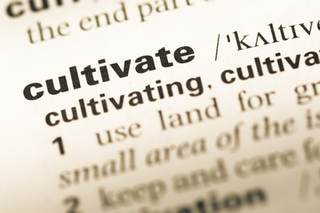 Close up of old English dictionary page with word cultivate © TungCheung