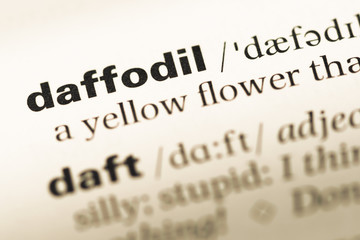 Close up of old English dictionary page with word daffodil