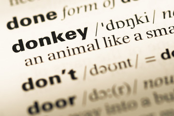 Obraz premium Close up of old English dictionary page with word donkey
