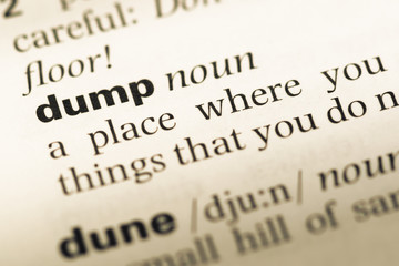 Close up of old English dictionary page with word dump