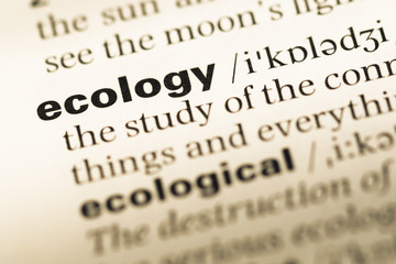 Close up of old English dictionary page with word ecology