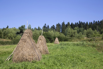 Fototapeta na wymiar Сельский пейзаж в Прикарпатье, Украина 