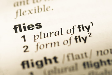 Obraz premium Close up of old English dictionary page with word flies