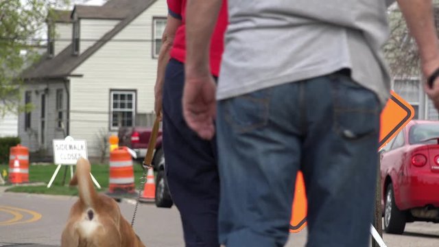 Dog stops to relieve himself on men working sign after owners walk by.
