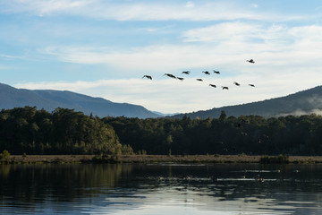 Obraz premium Spirit lake at Kepler track