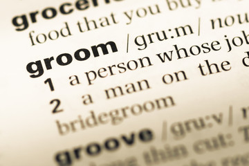 Obraz premium Close up of old English dictionary page with word groom