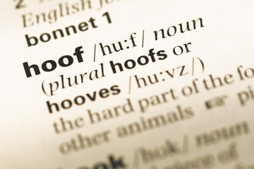 Close up of old English dictionary page with word hoof