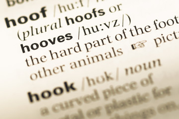 Close up of old English dictionary page with word hooves