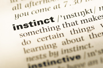Close up of old English dictionary page with word instinct