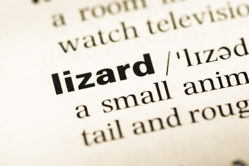 Obraz premium Close up of old English dictionary page with word lizard