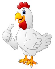 Cartoon rooster giving thumb up