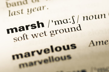Close up of old English dictionary page with word marsh