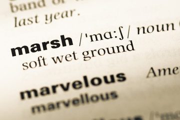 Obraz premium Close up of old English dictionary page with word marsh