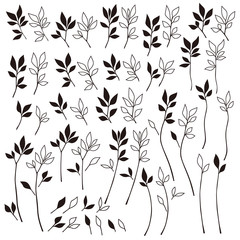 Fototapeta premium 植物のイラスト