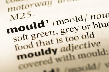 Obraz premium Close up of old English dictionary page with word mould